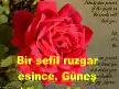 helin_hasretimsin