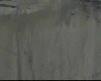 kedi gibi t�rmand�