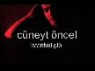 cüneyt öncel-istanbul gibi