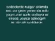 NİLÜFER-CADDELERDE RÜZGAR